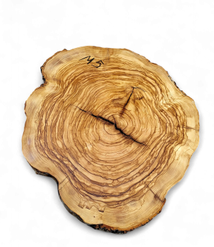 Baumscheibe Olivenholz M05-5
