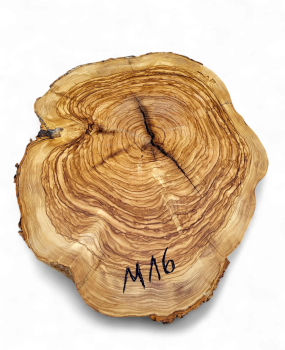 Baumscheibe Olivenholz M16-5