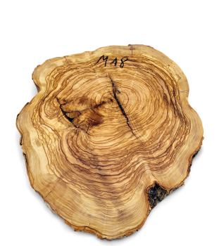 Baumscheibe Olivenholz M18-5
