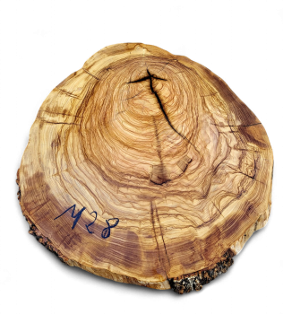 Baumscheibe Olivenholz M28-5