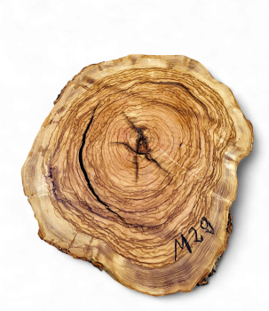 Baumscheibe Olivenholz M29-5