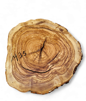 Baumscheibe Olivenholz M35-5
