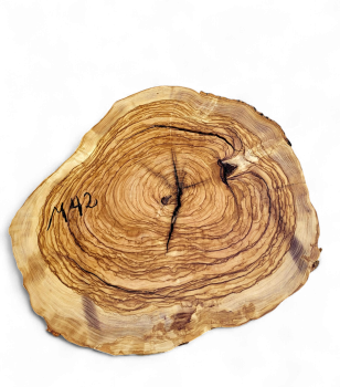 Baumscheibe Olivenholz M42-5