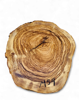Baumscheibe Olivenholz M54-5