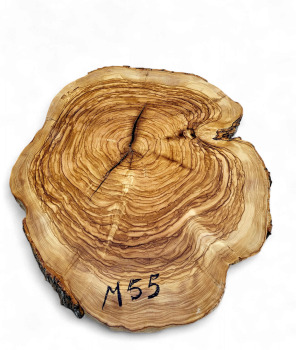 Baumscheibe Olivenholz M55-5