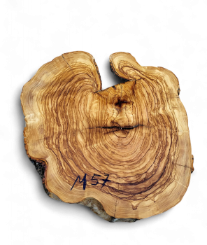 Baumscheibe Olivenholz M57-5