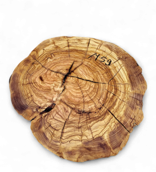 Baumscheibe Olivenholz M59-5