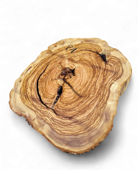 Baumscheibe Olivenholz P01-5