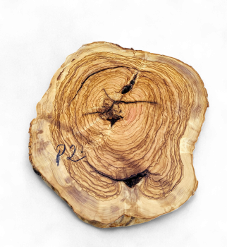 Baumscheibe Olivenholz P02-5