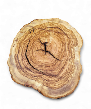 Baumscheibe Olivenholz P07-5