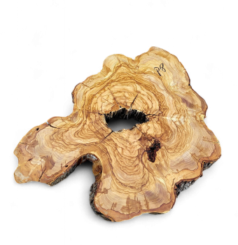 Baumscheibe Olivenholz P08-5