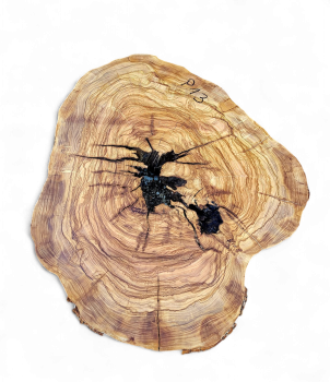 Baumscheibe Olivenholz P13-5