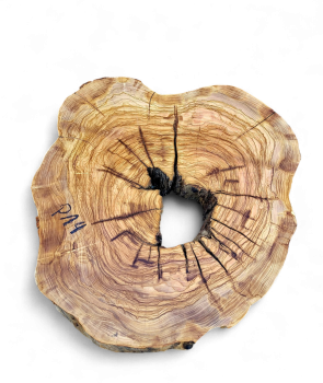 Baumscheibe Olivenholz P14-5