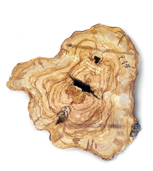 Baumscheibe Olivenholz P15-5