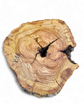 Baumscheibe Olivenholz P16-5