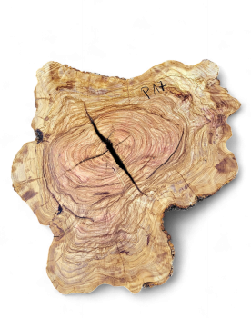 Baumscheibe Olivenholz P17-5