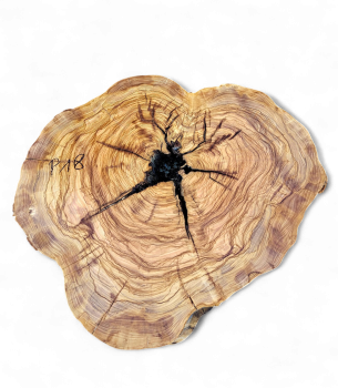 Baumscheibe Olivenholz P18-5