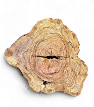 Baumscheibe Olivenholz P19-5
