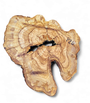Baumscheibe Olivenholz P20-5