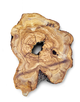 Baumscheibe Olivenholz P22-5