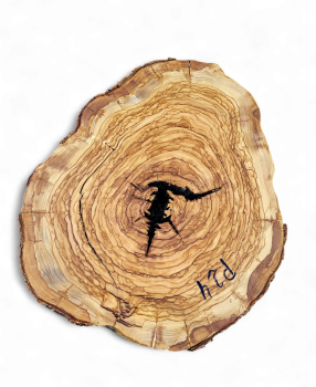 Baumscheibe Olivenholz P24-5