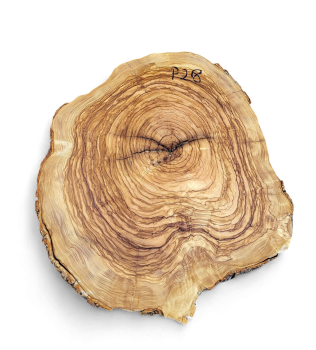 Baumscheibe Olivenholz P28-5