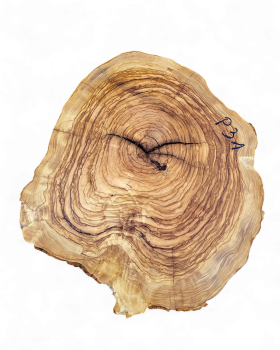 Baumscheibe Olivenholz P31-5