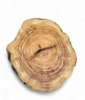 Baumscheibe Olivenholz P32-5