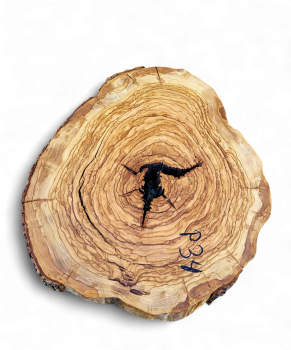 Baumscheibe Olivenholz P34-5