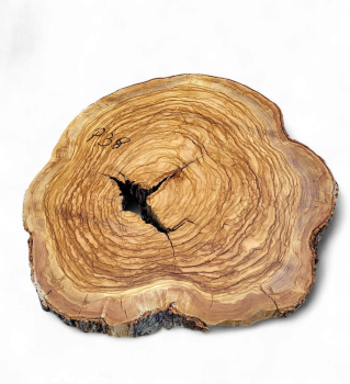 Baumscheibe Olivenholz P38-5