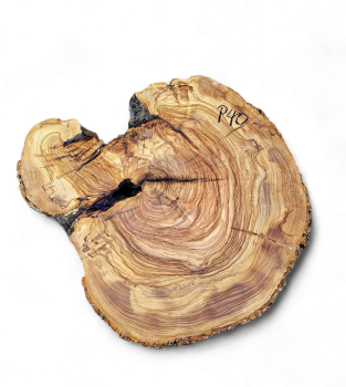 Baumscheibe Olivenholz P40-5