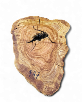 Baumscheibe Olivenholz P47-5