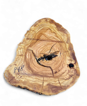 Baumscheibe Olivenholz P48-5