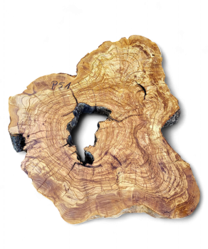 Baumscheibe Olivenholz P51-5