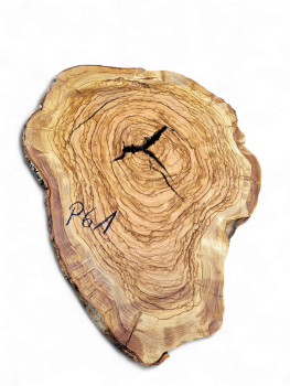 Baumscheibe Olivenholz P61-5
