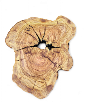 Baumscheibe Olivenholz P64-5