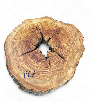Baumscheibe Olivenholz P67-5