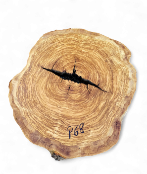 Baumscheibe Olivenholz P68-5