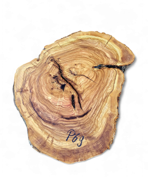 Baumscheibe Olivenholz P69-5