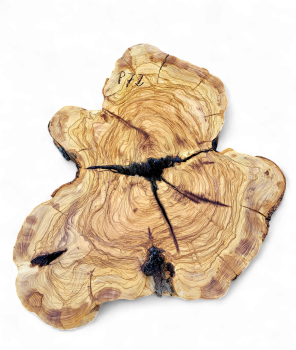 Baumscheibe Olivenholz P72-5