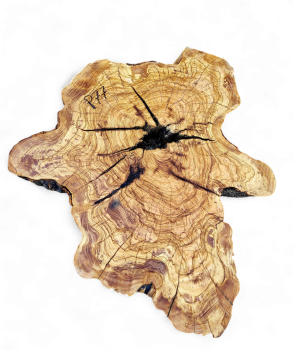 Baumscheibe Olivenholz P77-5