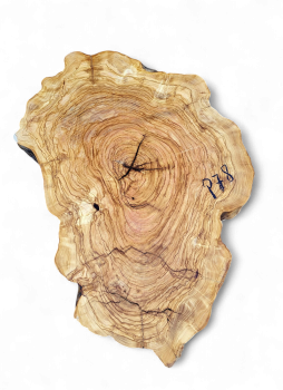 Baumscheibe Olivenholz P78-5