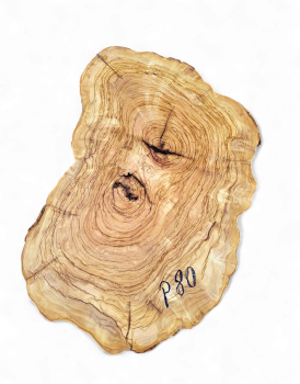 Baumscheibe Olivenholz P80-5