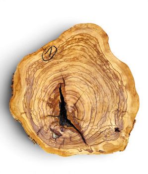 Baumscheibe Olivenholz 001-6