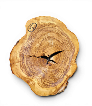 Baumscheibe Olivenholz 006-6