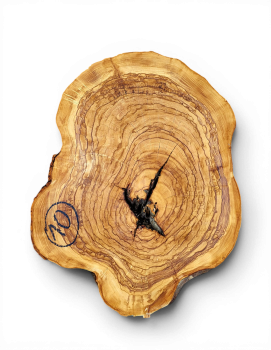 Baumscheibe Olivenholz 010-6