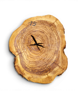 Baumscheibe Olivenholz 015-6