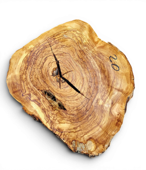 Baumscheibe Olivenholz 020-6