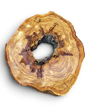 Baumscheibe Olivenholz 023-6