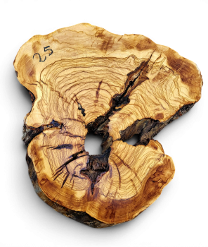 Baumscheibe Olivenholz 025-6